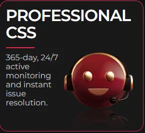 Professional css