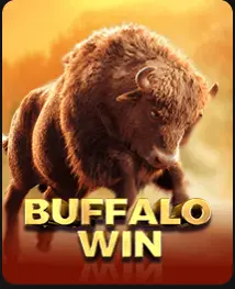 buffalo win